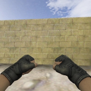 CSGO Danger Zone Fists