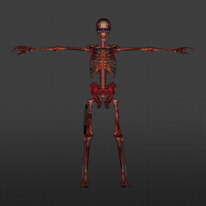 Skeletons pack model