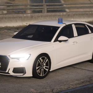 Audi A6 ZPKW